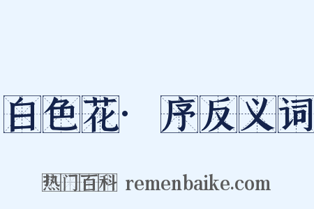 白色花·序反义词是什么意思的图片